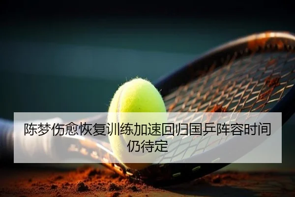 陈梦伤愈恢复训练加速回归国乒阵容时间仍待定